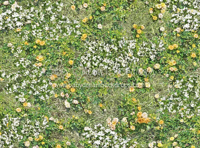 Simple Spring Meadow Floor Fabric Drop (CC)